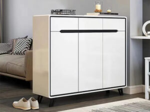 WINDOM Shoe Cabinet